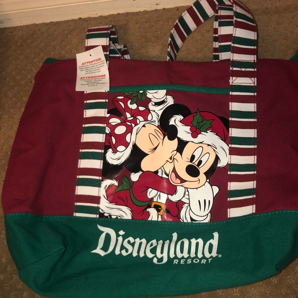 Disney Christmas Reusable Bag!